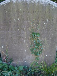 Grave Stone2