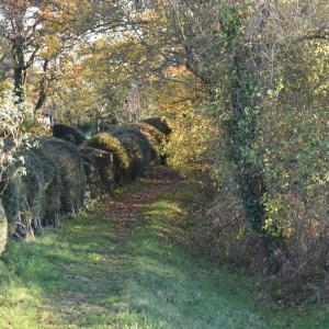 Chequers Path 11 2023