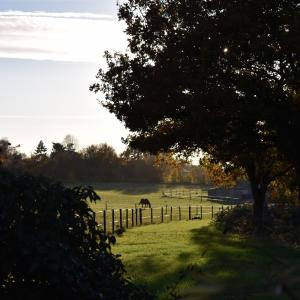 Village Hall Neigh-bour 11 2023