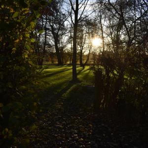 Meadow View 11 2023