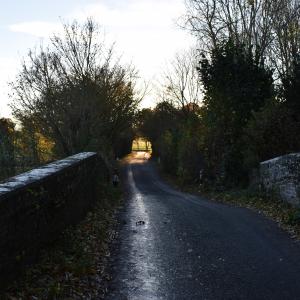 The Bridge 11 2023