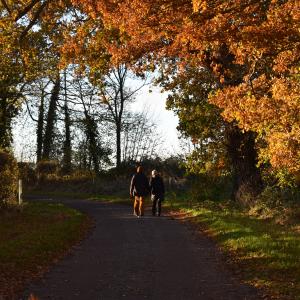 The Walkers 11 2023