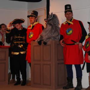 wolf in court